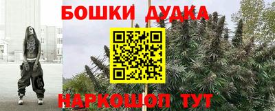 сатива Нальчик
