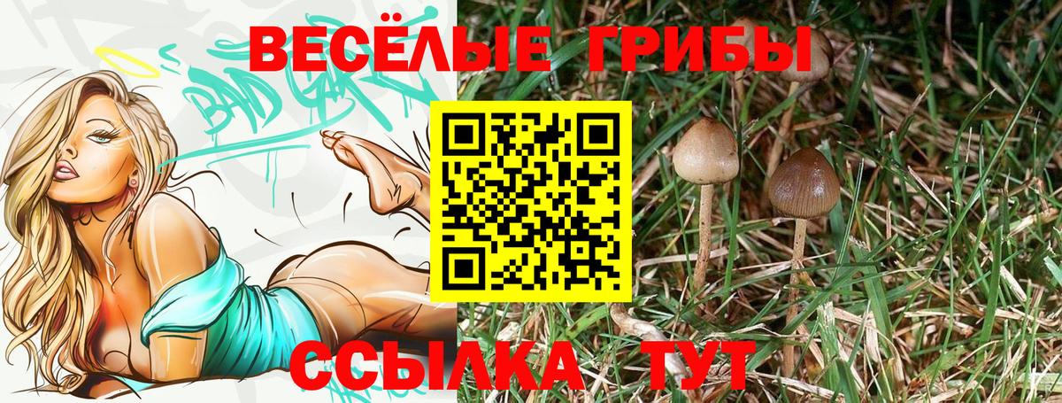 Галлюциногенные грибы ЛСД  Вход с VPN  Псилоцибиновые грибы Magic Shrooms  где можно купить   Лиски 