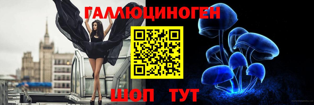 Псилоцибиновые грибы Psilocybe Лиски